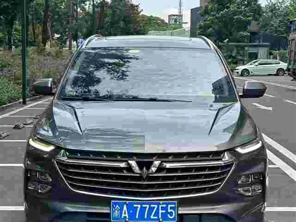 Фото 2 - Wuling Motors Wuling Victory