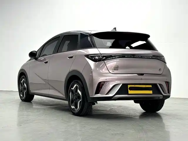 BYD Dolphin 2021 2021 Model 405km Fashion Edition