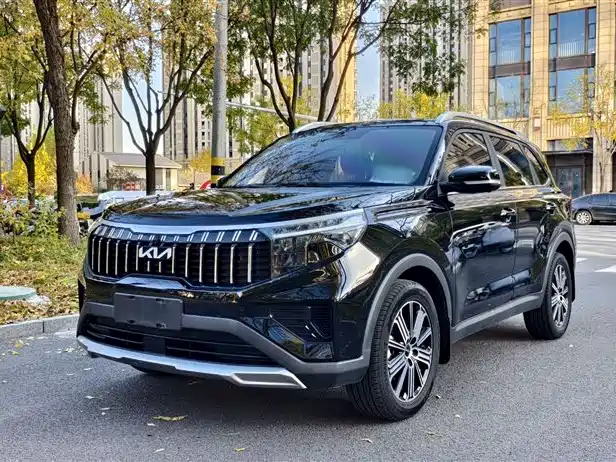 Kia Sportage 2021 Ace 2.0L Brilliant Edition фото 2