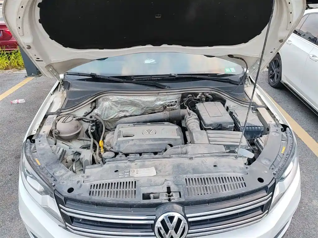 Volkswagen Tiguan 2017 300TSI Automatic 2WD Silk Road Fashion Edition фото 20