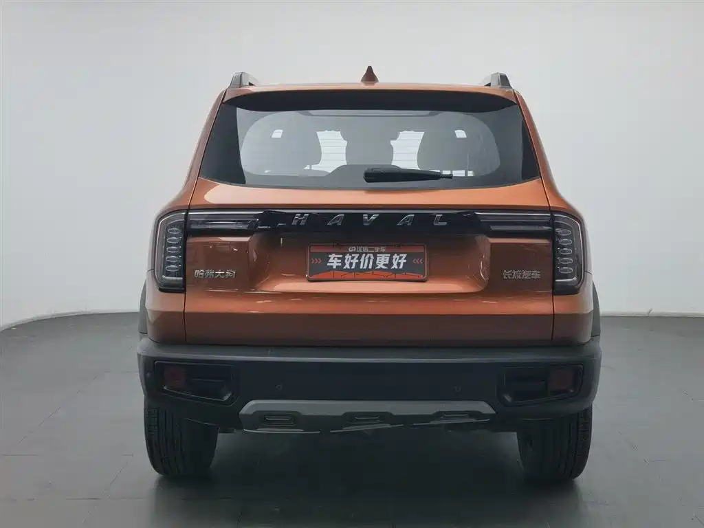 HAVAL BIG DOG