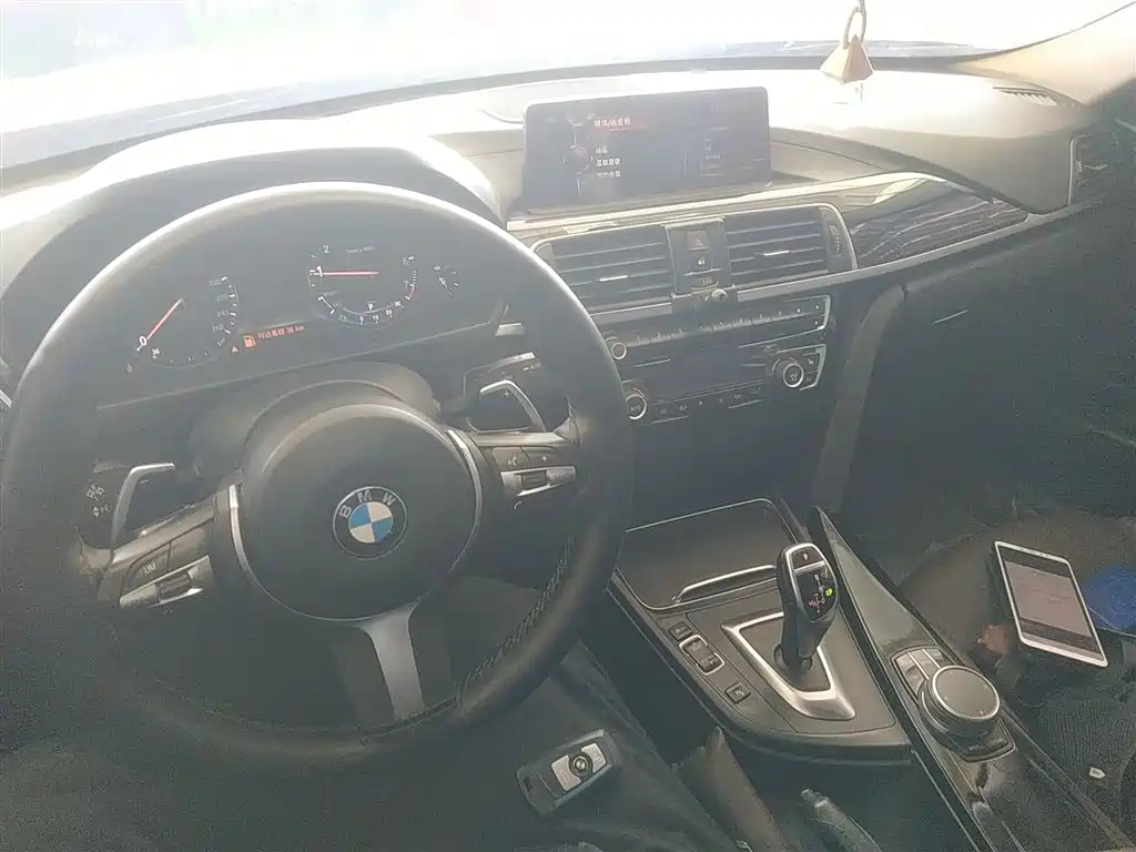 BMW 3 Series 2019 320Li M Sport Package фото 10