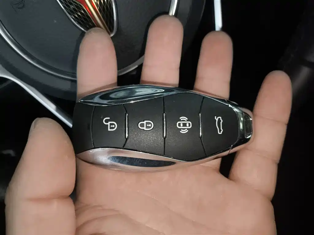 Hongqi H5 2023 2.0T Auto Smart Connect Flag Comfort фото 9