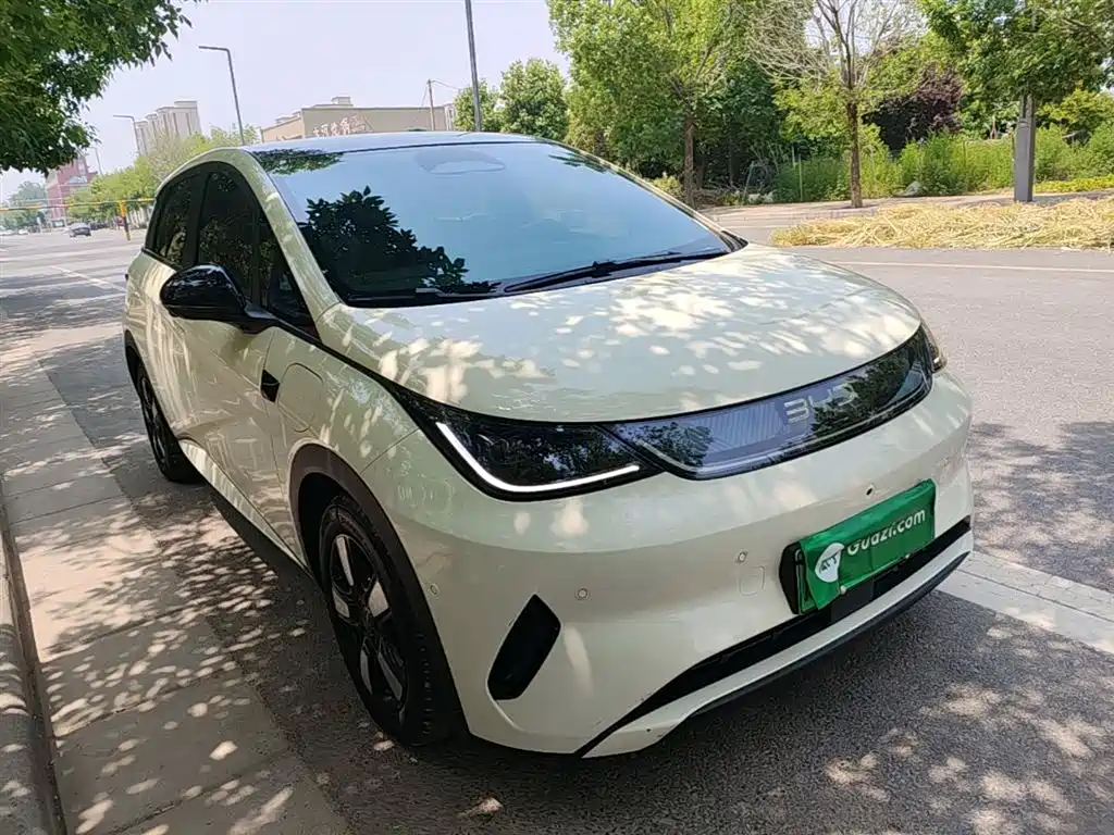 BYD Dolphin 2025 Smart Drive Edition 410km Fashion Version фото 4