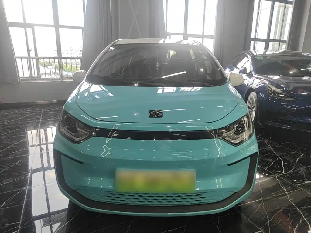 Sehol Flower Fairy 2022 2021 Jimei Edition 302km Luxury