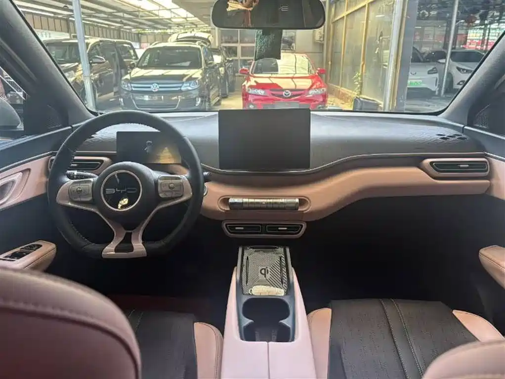 BYD Seagull 2023 Freedom Edition фото 6