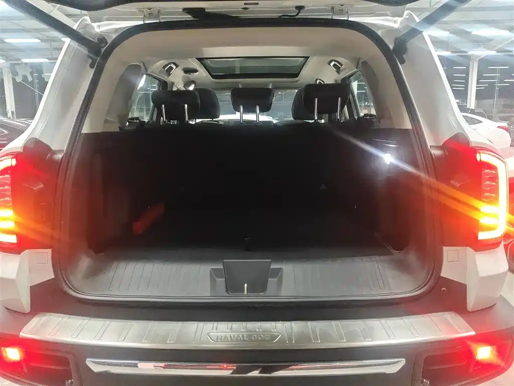 Haval Big Dog 2021 2.0T DCT 4WD Chinese Rural Dog Edition фото 9