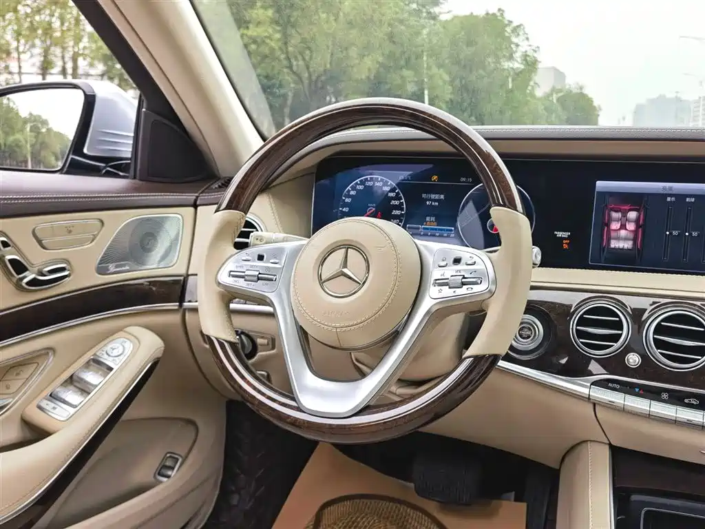 Mercedes-Benz S-Class 2018 S 350 L фото 11
