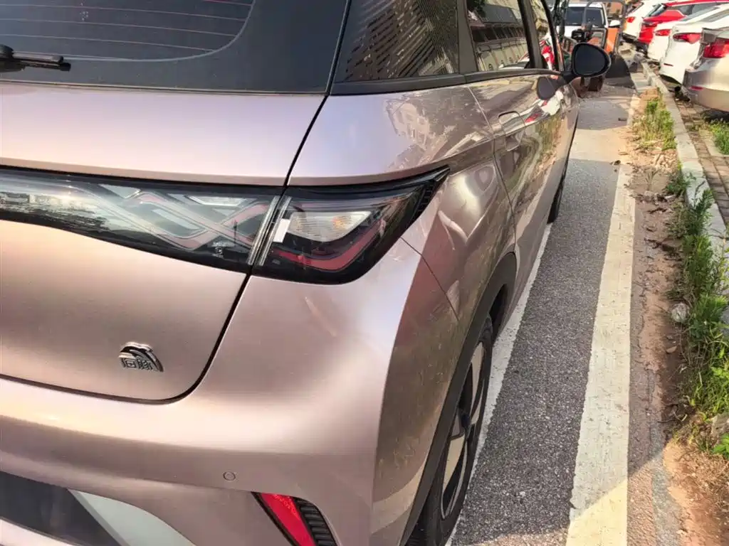 BYD Dolphin 2023 420km Fashion Edition фото 24