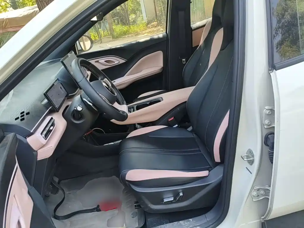BYD Seagull 2026 2025 Smart Drive Edition 305km Freedom Version