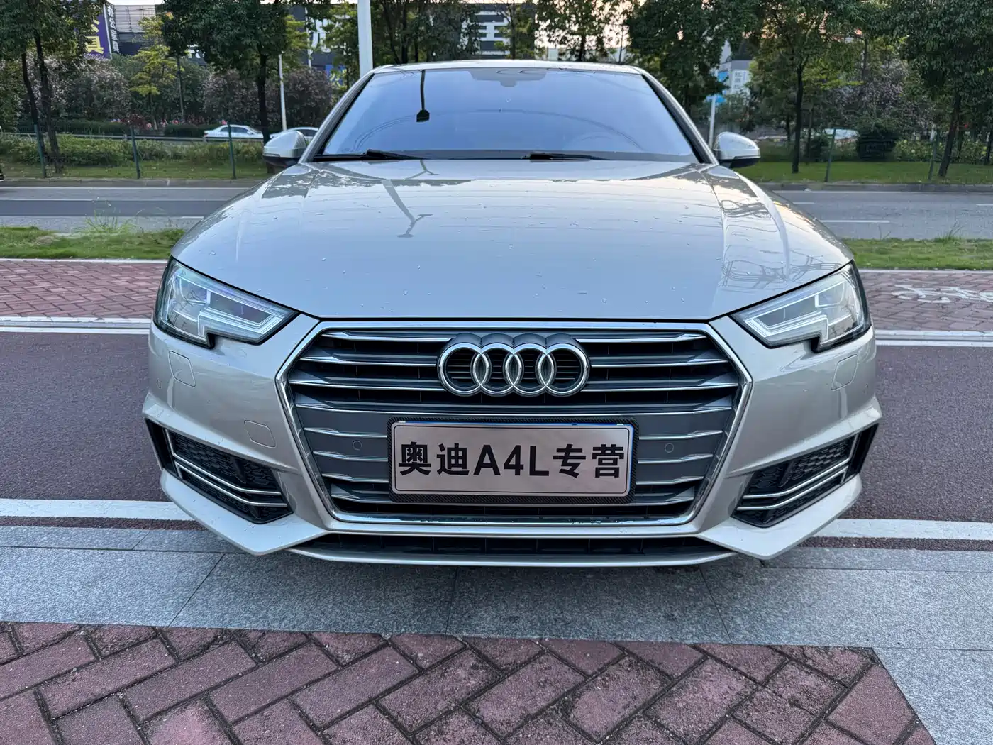 Audi A4L 2018 30th Anniversary 40 TFSI Fashion фото 2