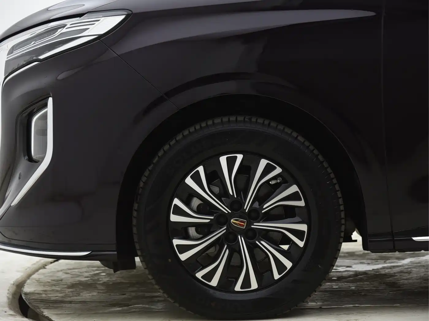 Hongqi HQ9 2024 Model 2.0T Luxury Edition фото 6