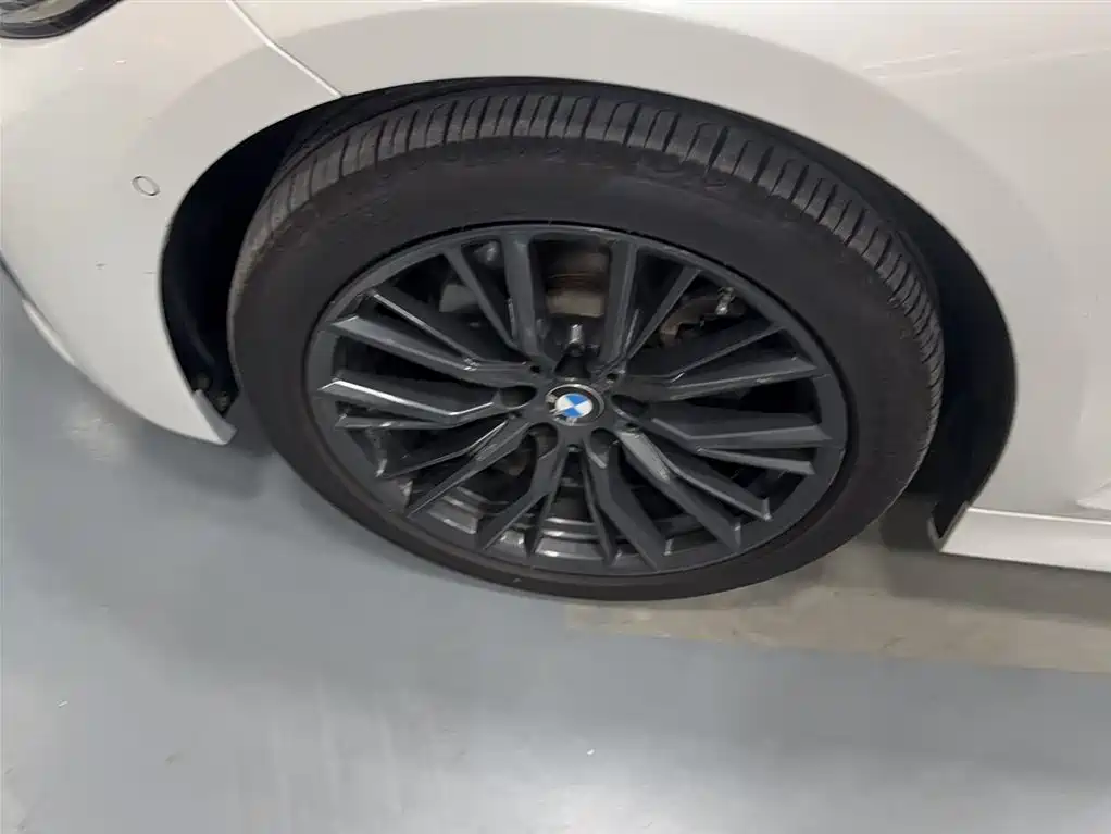 BMW 3 Series 2021 Second Facelift 325Li M Sport Night Package фото 11