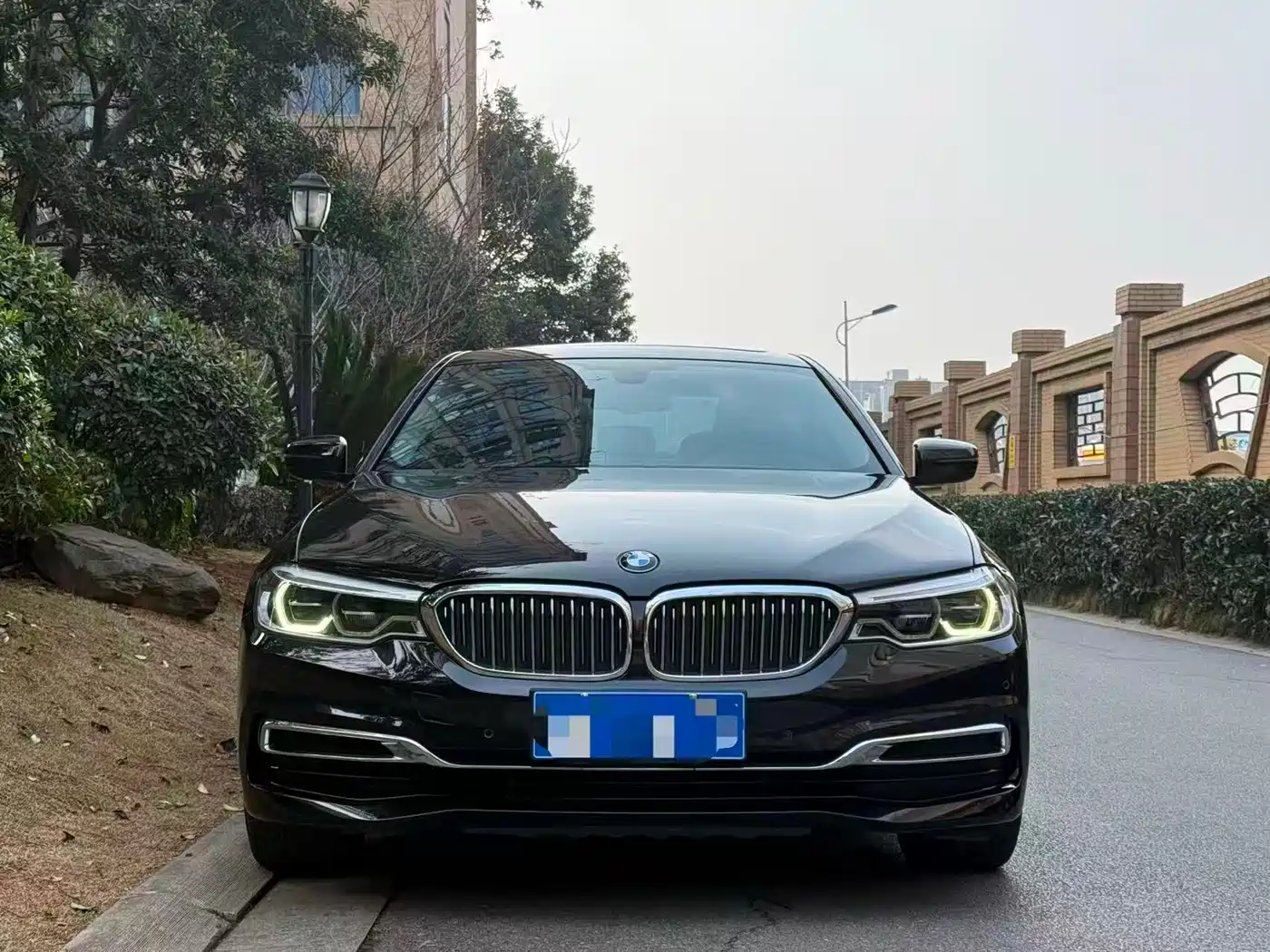 BMW 5 Series 2020 530Li Leading Luxury Package