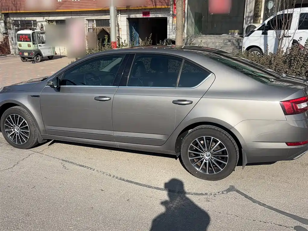 Škoda Octavia 2019 TSI230 DSG Luxury Edition фото 7