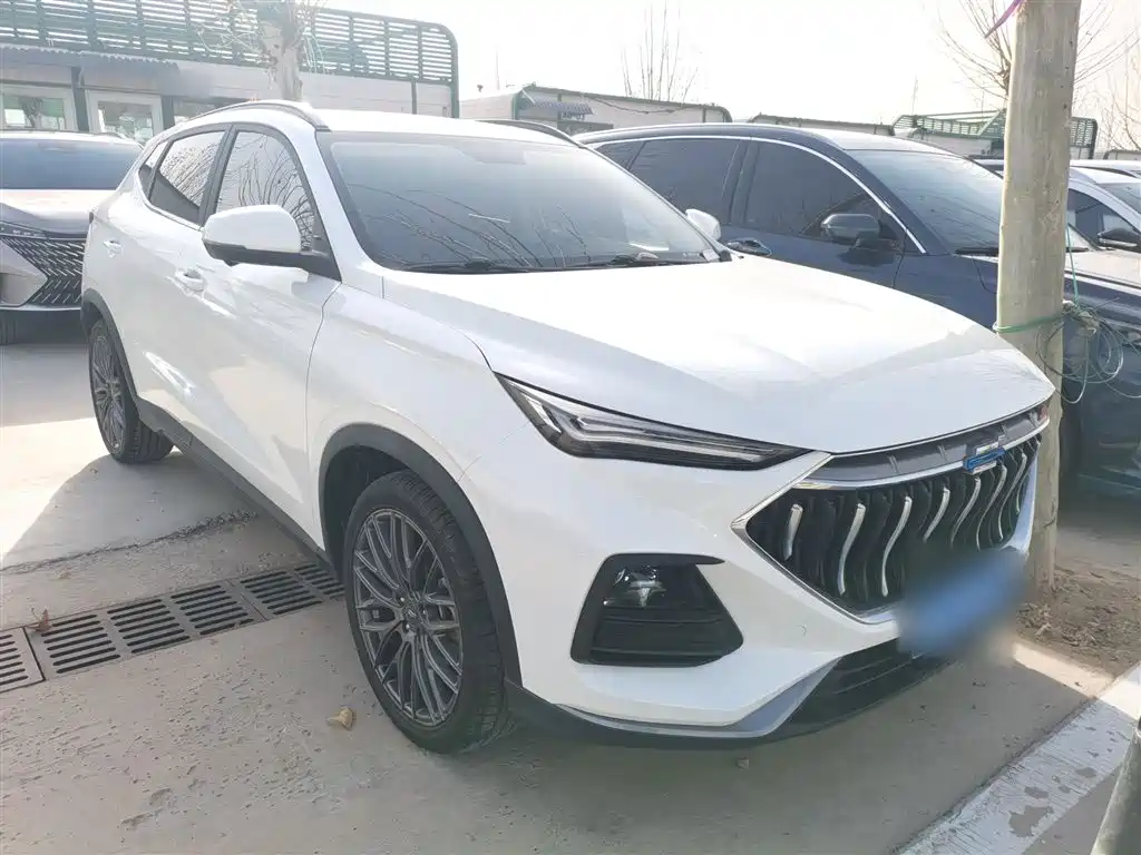 Фото 4 - Changan Oshan Changan Oushang X5