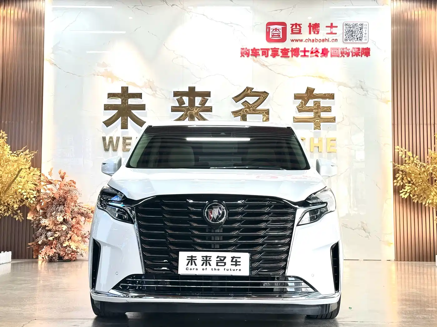 Buick GL8 2023 ES Landmaster Exclusive фото 2