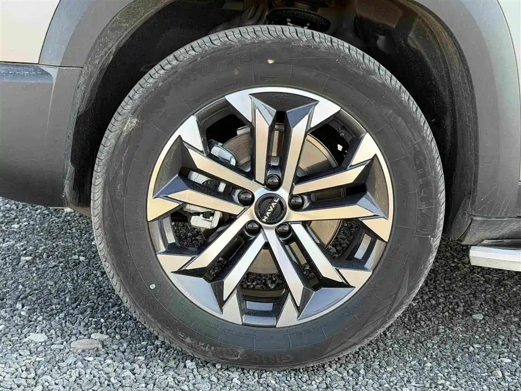 Photo 14 - Haval Dargo