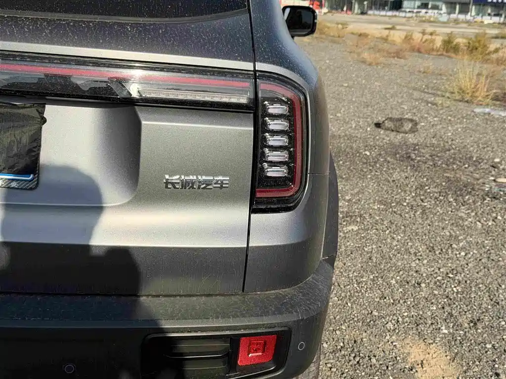 Photo 16 - Haval Dargo