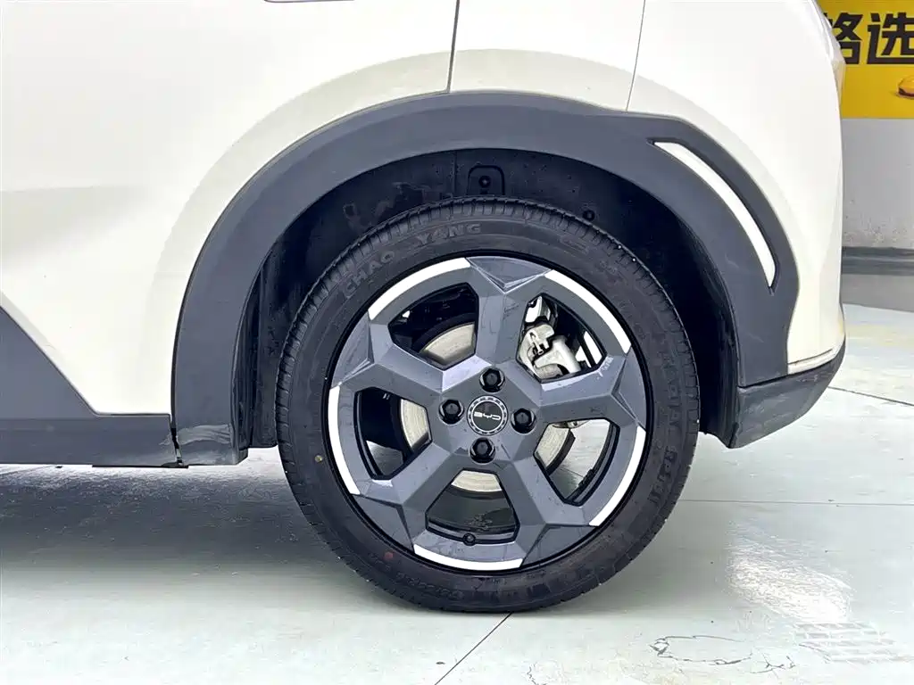 BYD Seagull 2024 Glory Edition 305km Freedom Edition фото 4