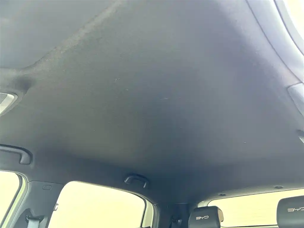 BYD Seagull 2024 Glory Edition 305km Freedom Edition фото 13