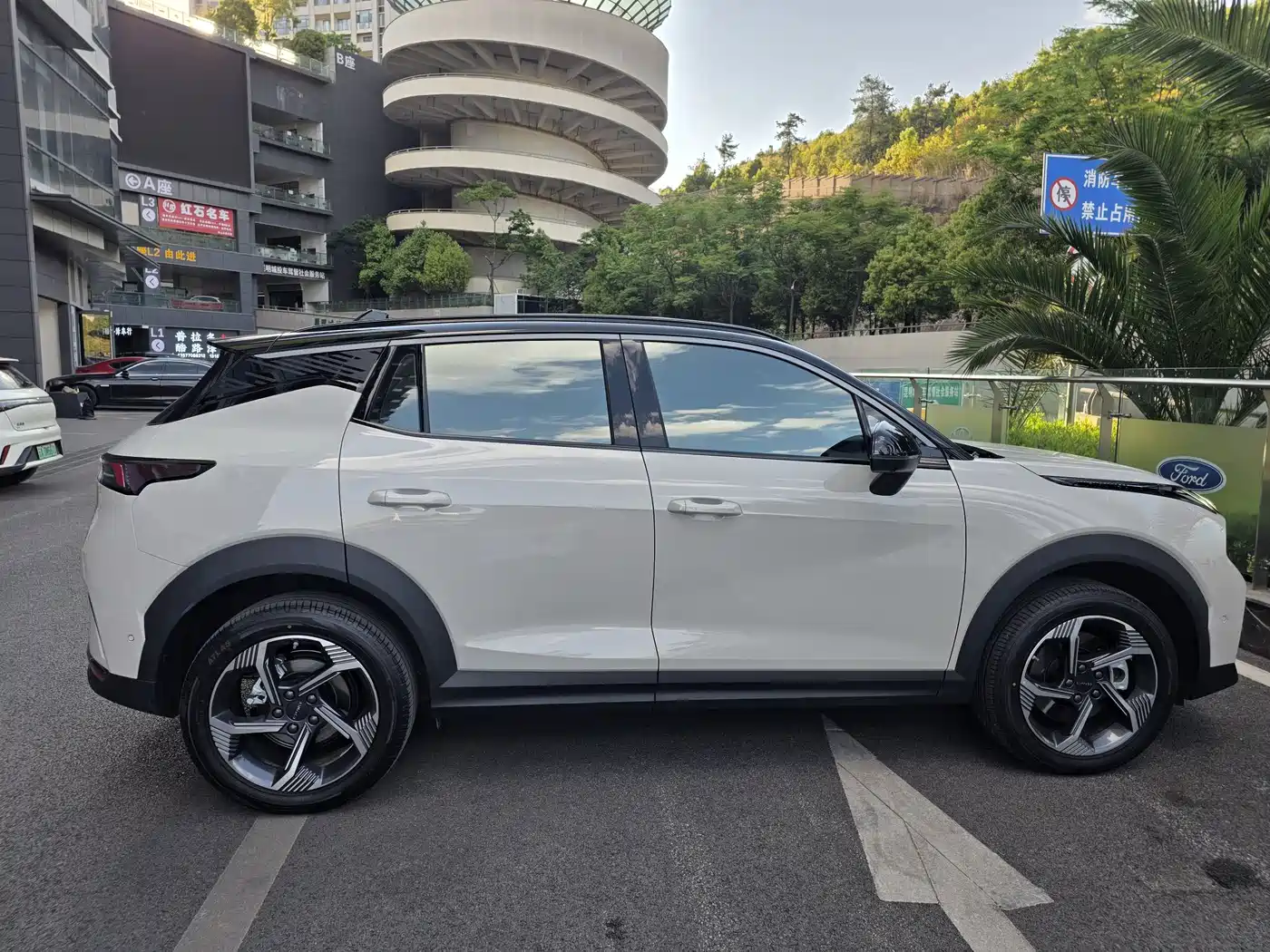 LYNK 06
