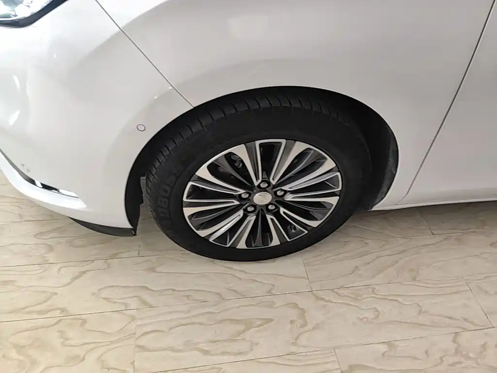 Фото 23 - Buick GL8