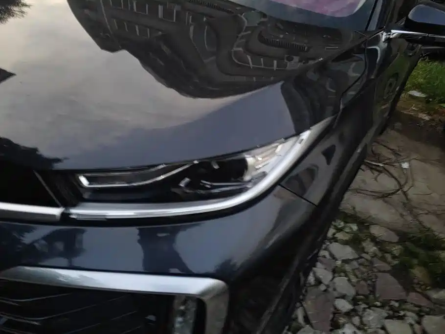 Exeed TXL 2024 2024 300T 2WD Starlight Edition
