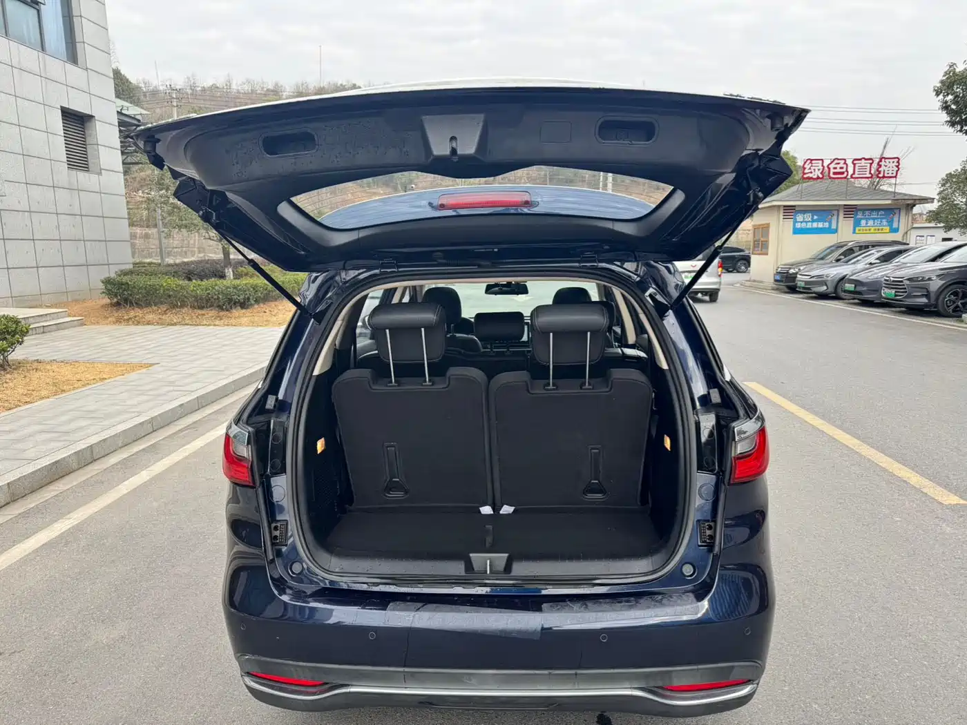 BYD Song MAX 2019 1.5T Auto Smart Connected Sunroof 7-seater China VI фото 15