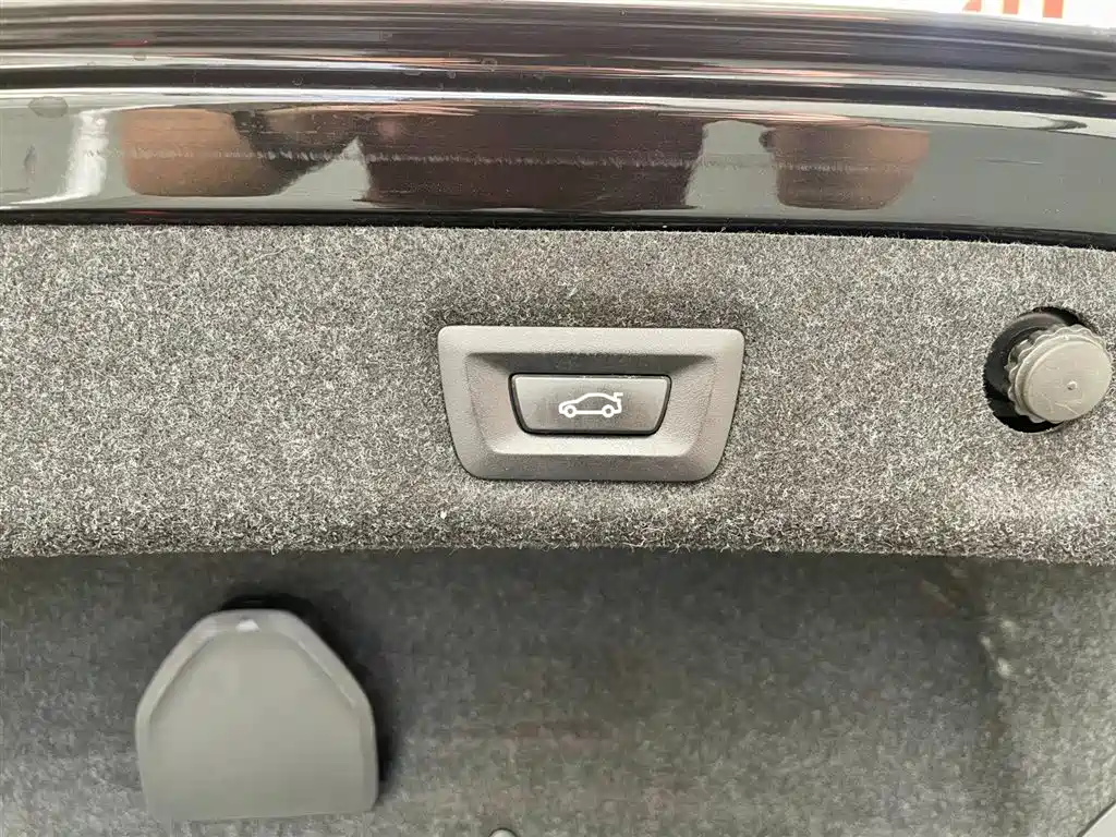 BMW 5 Series 2018 Facelift 530Li Leading Luxury Package фото 19