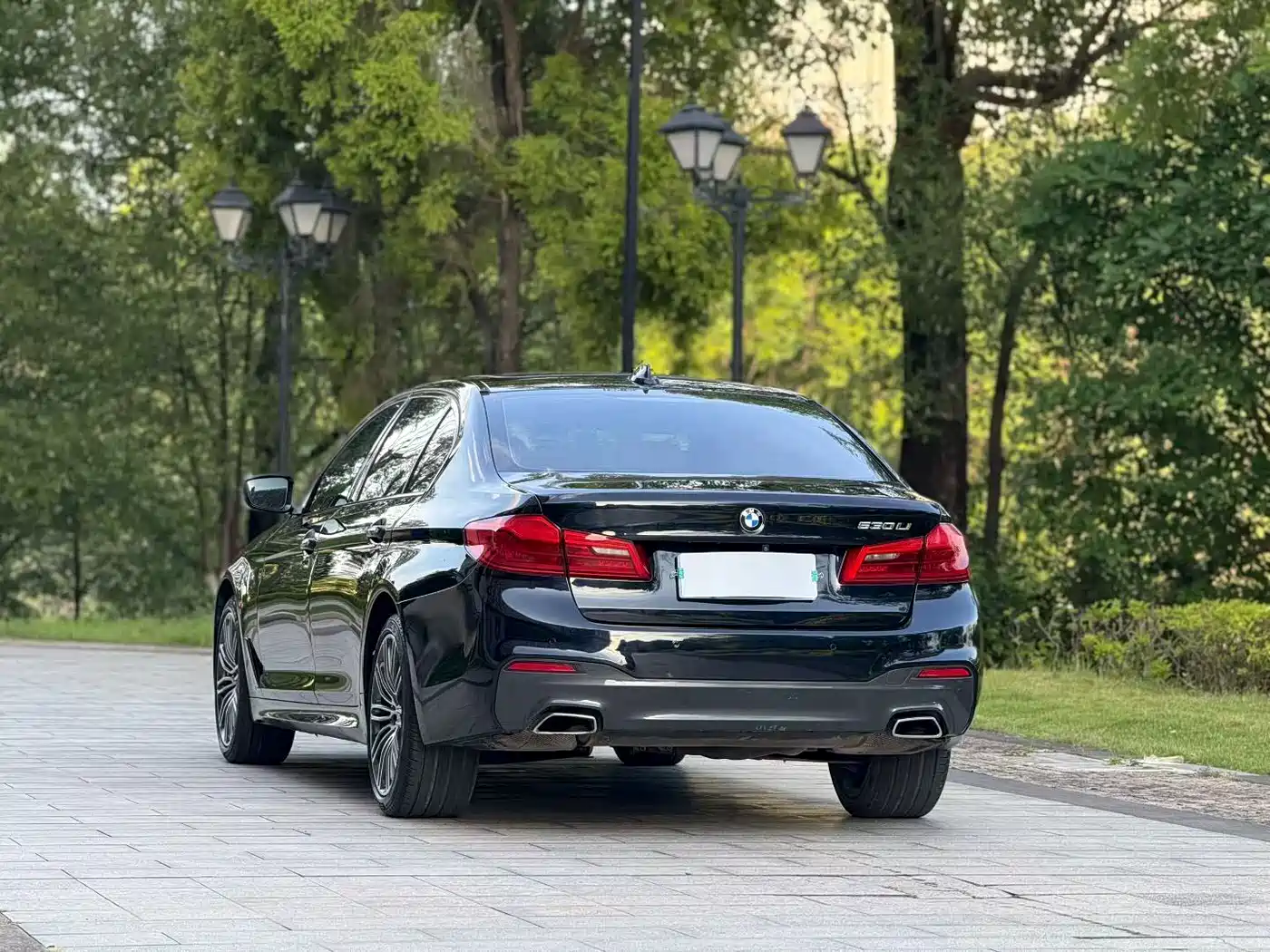 BMW 5 Series 2018 530Li Premium M Sport Package фото 8