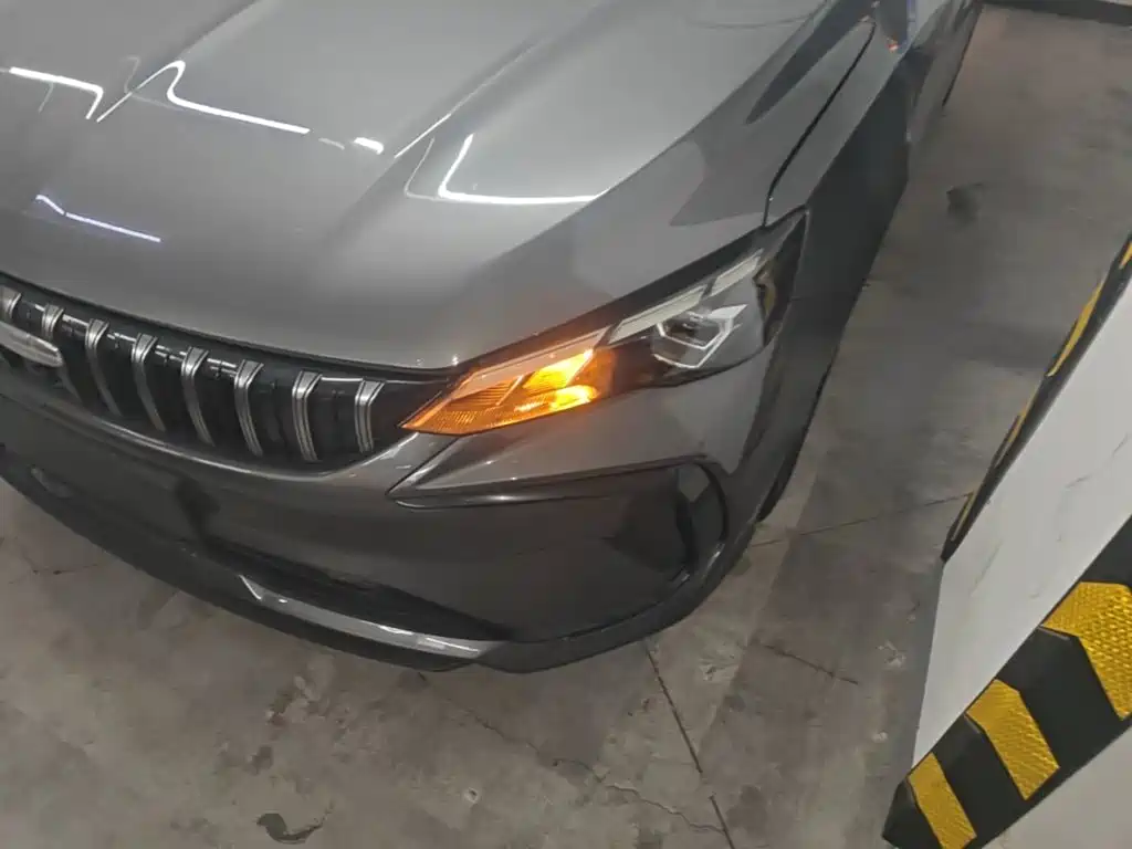 Geely Binrui 2026 2024 Binrui COOL 1.5T DCT Soaring Dragon Edition