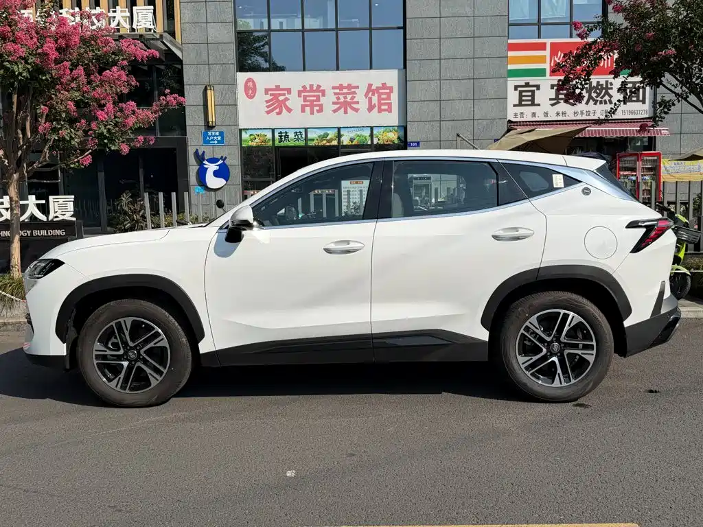 Jetour Shanhai L6 2025 2024 1.5TD DHT MAX