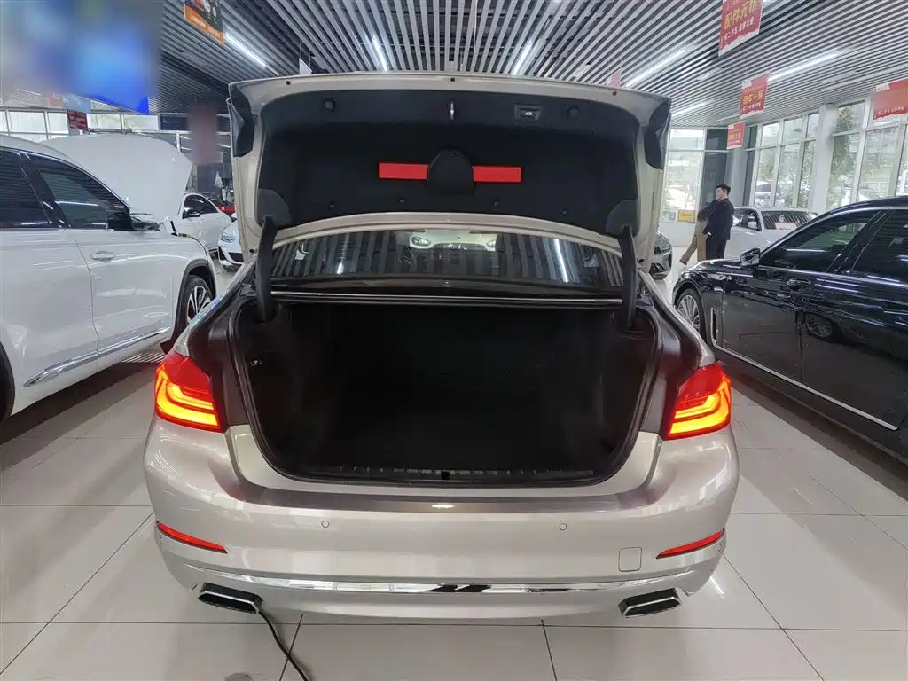 BMW 5 Series 2018 530Li Leading Luxury Package фото 18