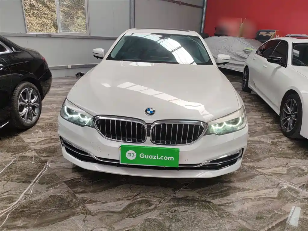 BMW 5 Series 2019 Facelift 530Li Leading Luxury Package фото 3