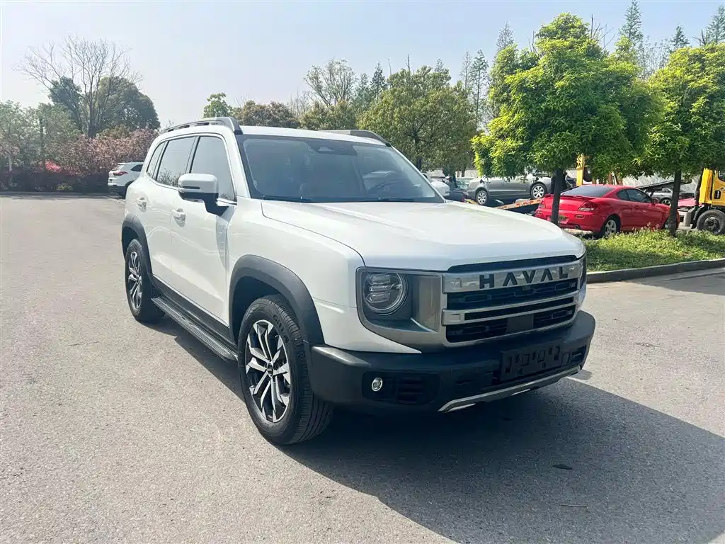 HAVAL BIG DOG