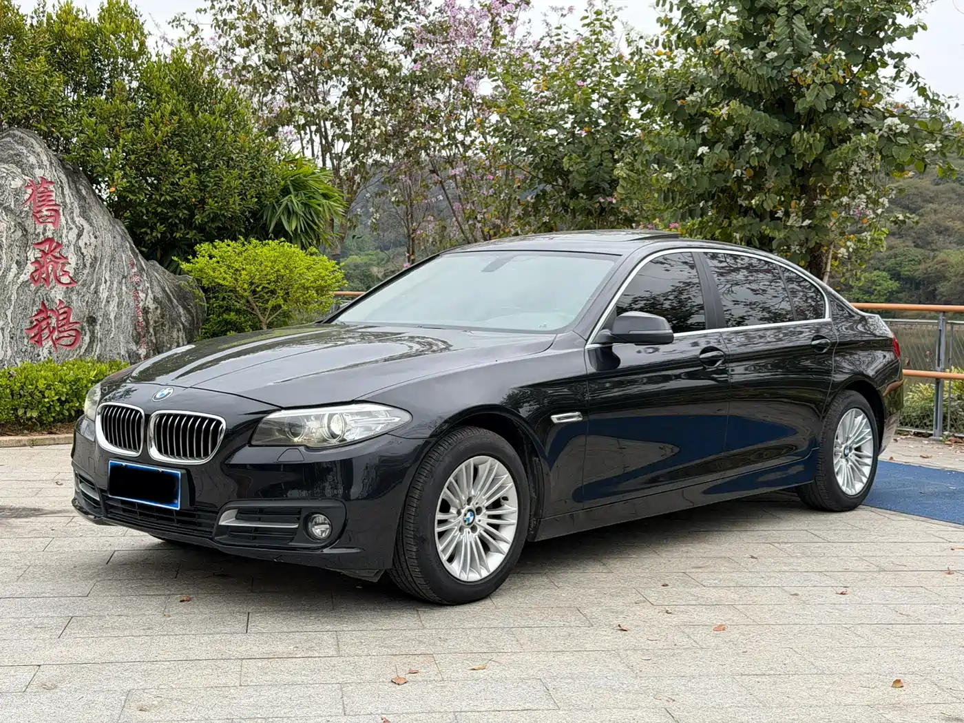 BMW 5 Series 2014 525Li Leading
