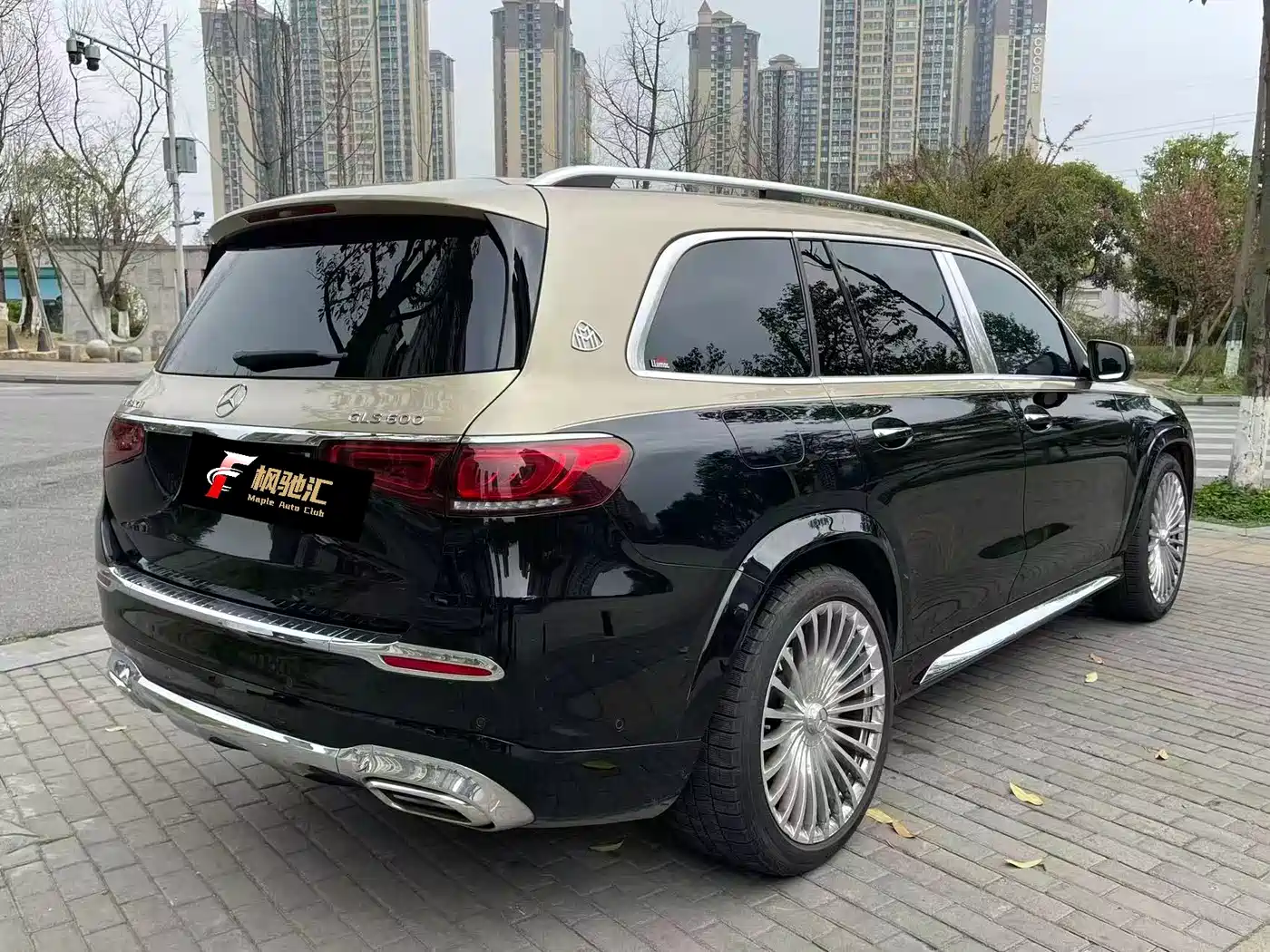 Mercedes-Benz Maybach GLS 2022 GLS 600 4MATIC Etiquette Edition фото 13