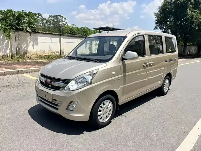 Wuling Motors Wuling Rongguang V 2019