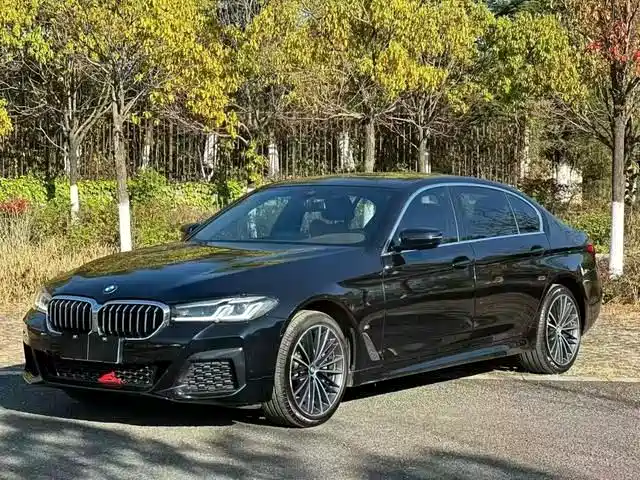 BMW 5 Series 2022 530Li Leading Luxury Package