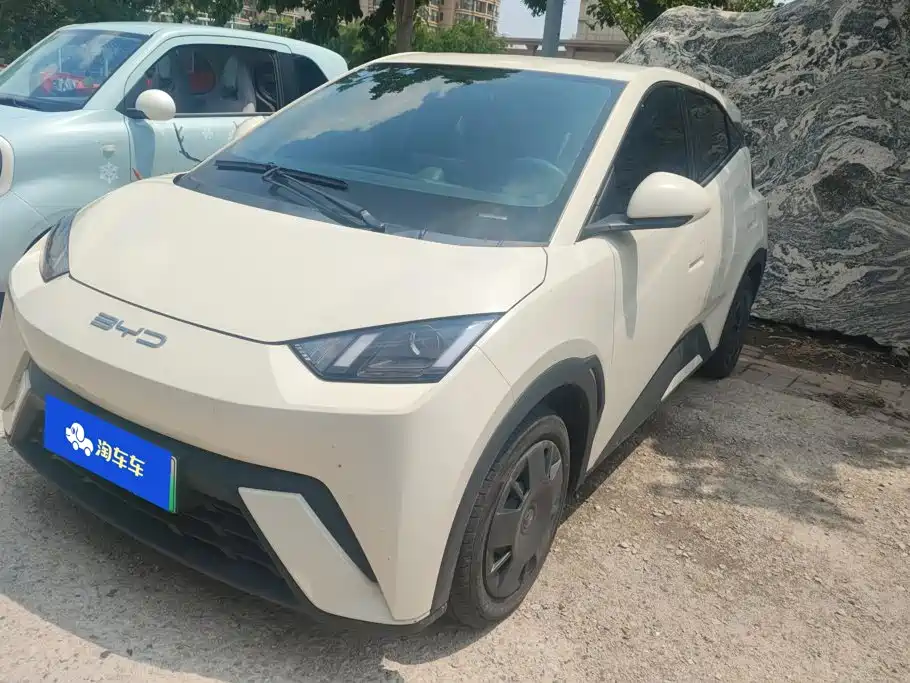 BYD Seagull 2023 Vitality Edition
