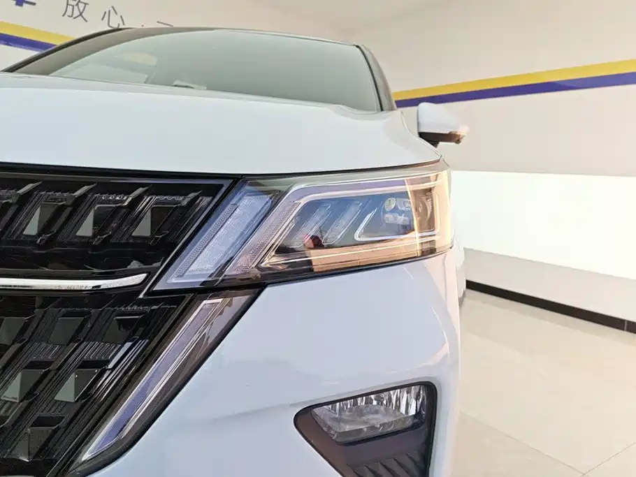 Wuling Motors Wuling Xingchen 2023 2022 2.0L DHT Electric Speed Edition