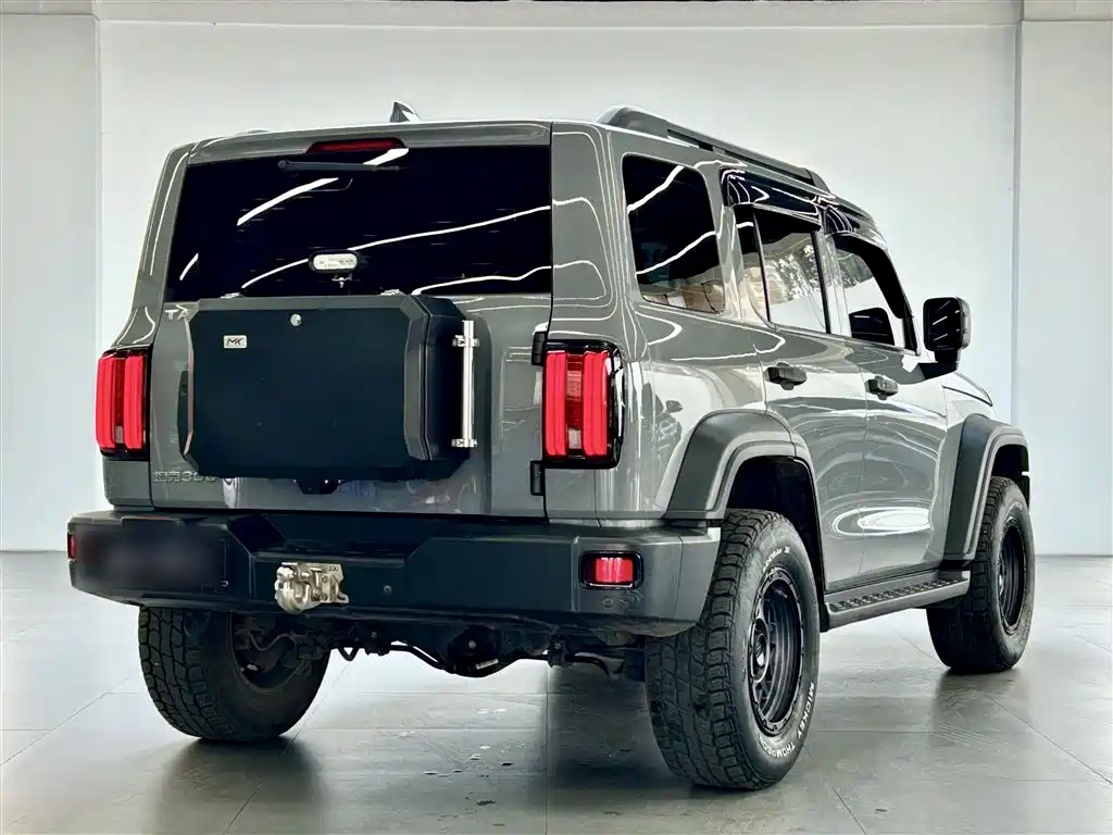 Tank 300 2021 Off-road Version 2.0T Conqueror фото 11