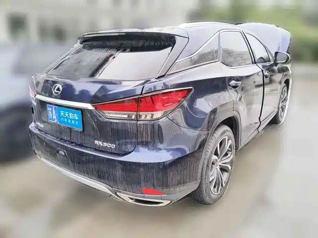 Lexus RX 2020 300 4WD Elegance Edition China VI — фото 2