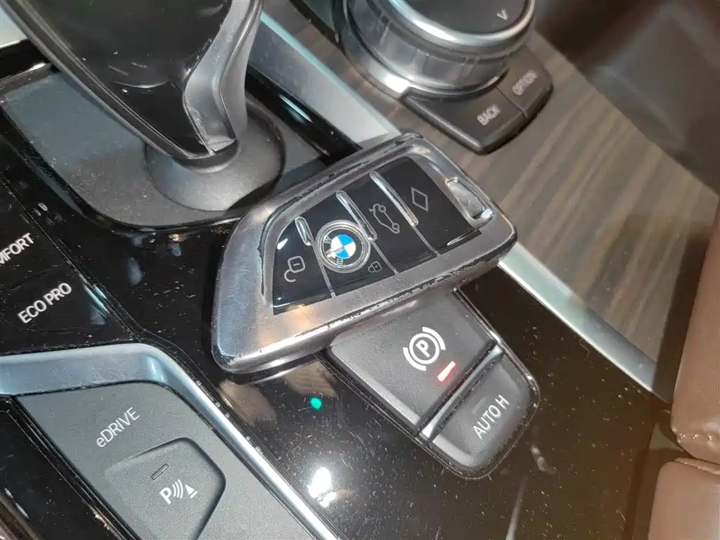 BMW 5 Series New Energy 2019 Facelift 530Le Pioneer Edition фото 9
