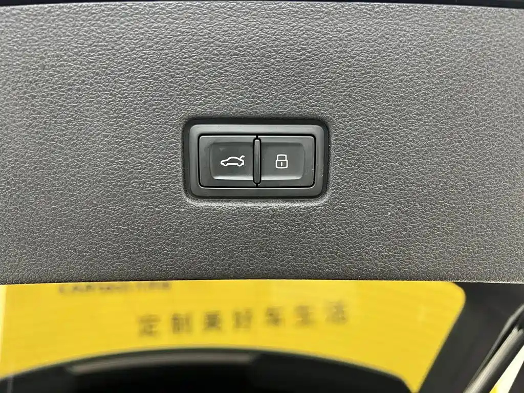 Audi Q8 2024 2023 55 TFSI Luxury Sport
