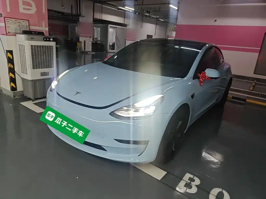  Tesla Model 3 2022 Model Rear-Wheel Drive Version