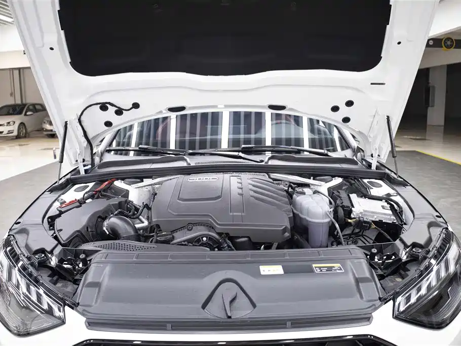 Audi A4L 2025 2 Million Celebration Edition 40 TFSI Luxury Dynamic B&O Starlight Night Edition фото 9