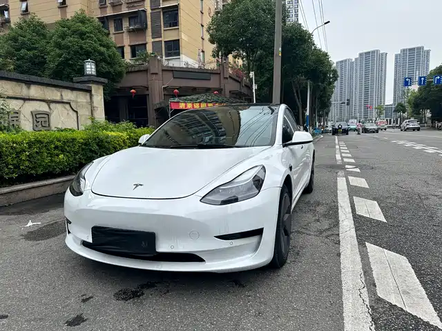 Tesla Model 3 2022 Model Rear-Wheel Drive Version