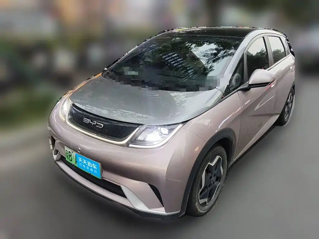 Фото 1 - BYD Dolphin